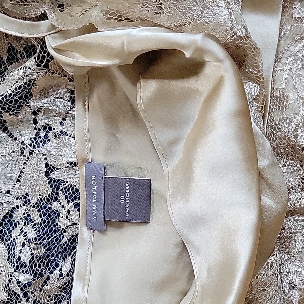 Gorgeous Ann Taylor Lace Silk Sleeveless Top - Sz. 00 - Beige - Picture 5 of 6